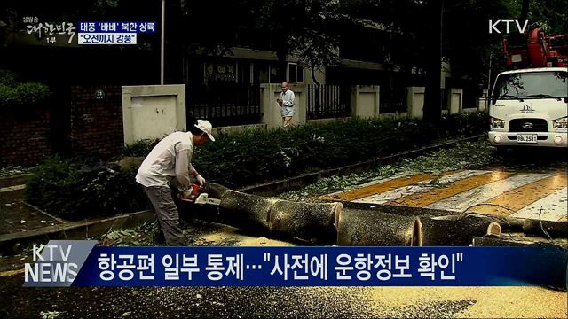 태풍 '바비' 북한 상륙···"오전까지 강풍"