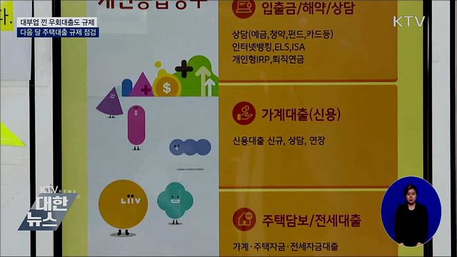 대부업자 통한 주담대 규제 우회 대출 금지