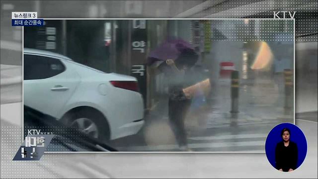 최대 순간풍속 [뉴스링크]