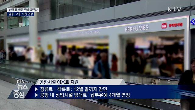 코로나19 직격탄 항공사 추가 수혈···금융 지원 연장