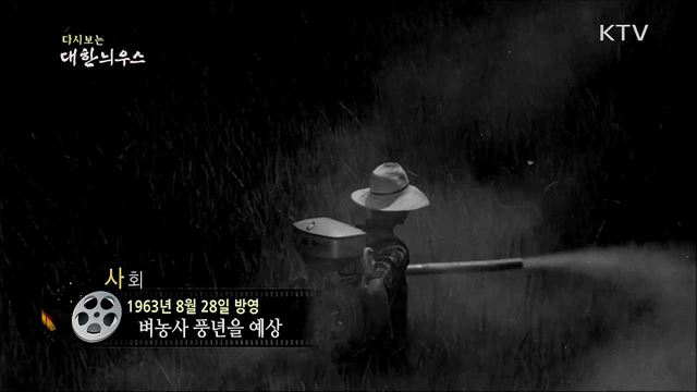 다시보는 대한늬우스 (63. 8. 28)