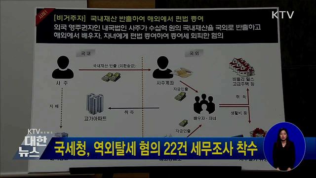 국세청, 역외탈세 혐의 22건 세무조사 착수