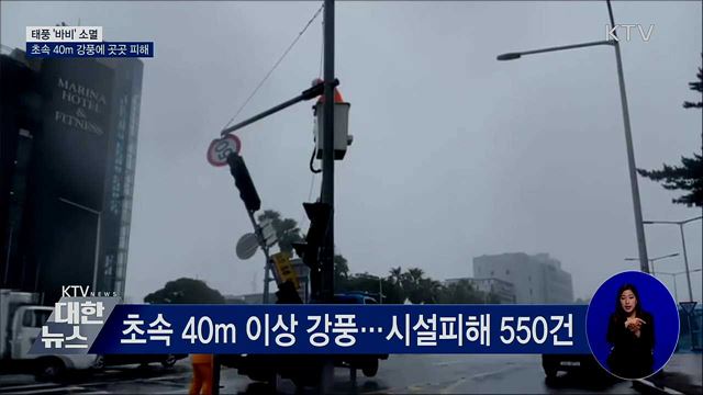 태풍 '바비' 소멸···초속 40m 강풍에 곳곳 피해