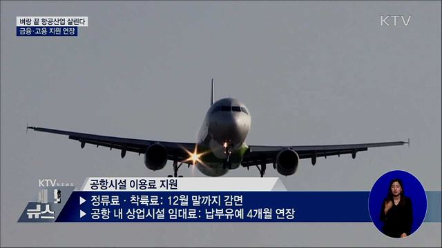 코로나19 직격탄 항공사 추가 수혈···금융 지원 연장