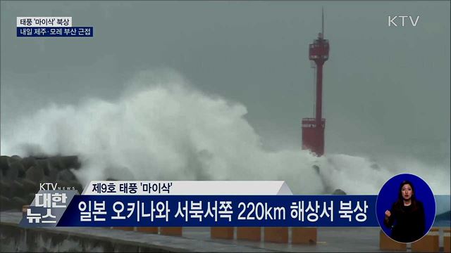 '마이삭' 북상···내일 제주·모레 부산 근접