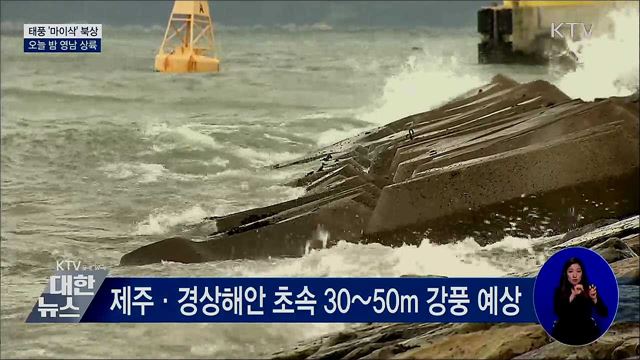 KTV 대한뉴스 (551회)