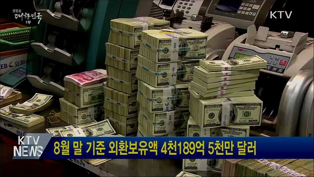 8월 말 기준 외환보유액 4천189억 5천만 달러