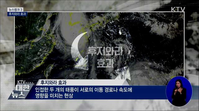 후지와라 효과 [뉴스링크]