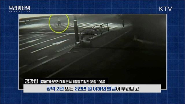 가짜뉴스. 방역 방해행위 엄정 대응 [브리핑타임]