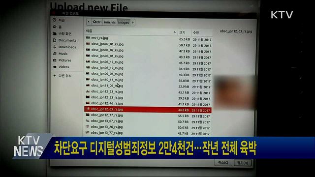 차단요구 디지털 성범죄정보 2만4천건···작년 전체 육박