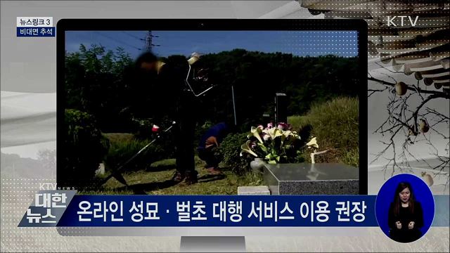 비대면 추석 [뉴스링크]