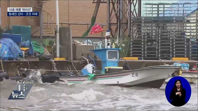10호 태풍 '하이선' 지나간 동해안···피해 잇따라
