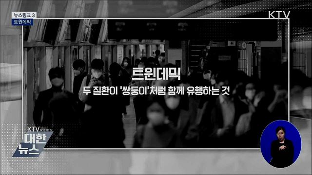 트윈데믹 [뉴스링크]