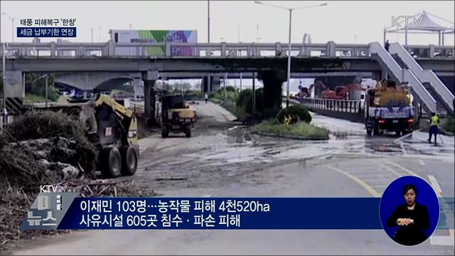 태풍 피해복구 '한창'···세금 납부기한 연장