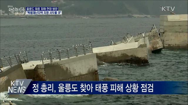 정 총리 "울릉도 특별재난지역 지정 서두를 것"