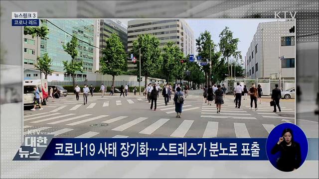 코로나 레드 [뉴스링크]