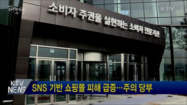 SNS 기반 쇼핑몰 피해 급증···주의 당부