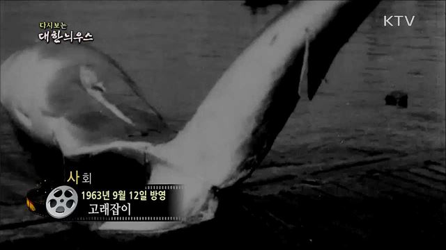다시보는 대한늬우스 (63. 9. 12)