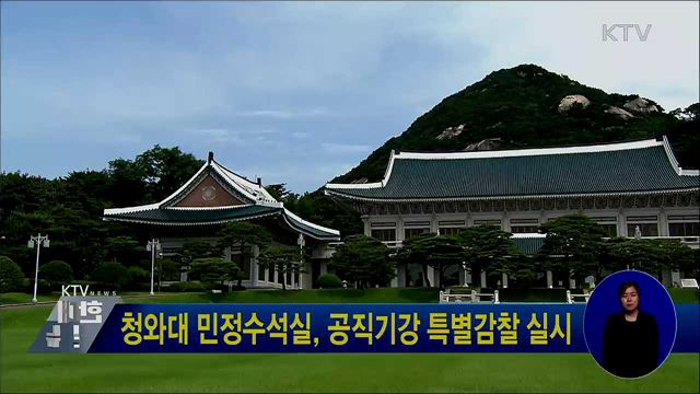 청와대 민정수석실, 공직기강 특별감찰 실시