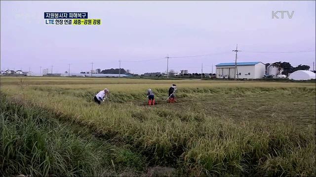 태풍 피해 농가 지원, 자원봉사자 피해복구