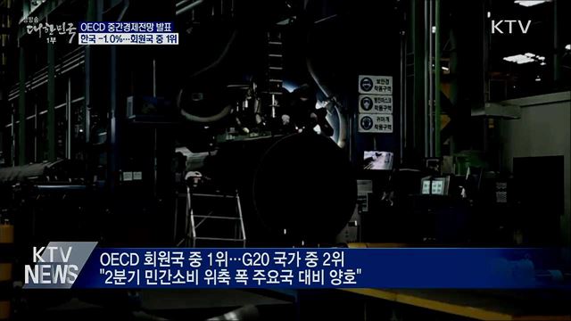OECD "한국 성장률 -1.0%"···회원국 중 가장 양호