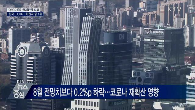 OECD "한국 성장률 -1.0%"···회원국 중 가장 양호