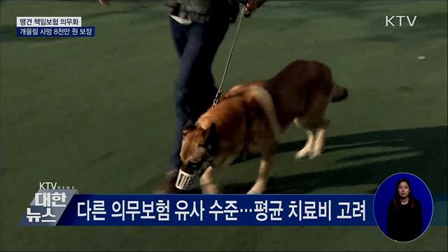 맹견 책임보험 의무화···개물림 사망 8천만 원 보장