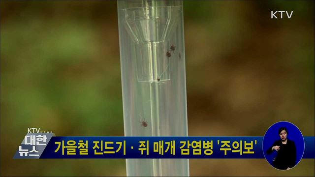 가을철 진드기·쥐 매개 감염병 '주의보'