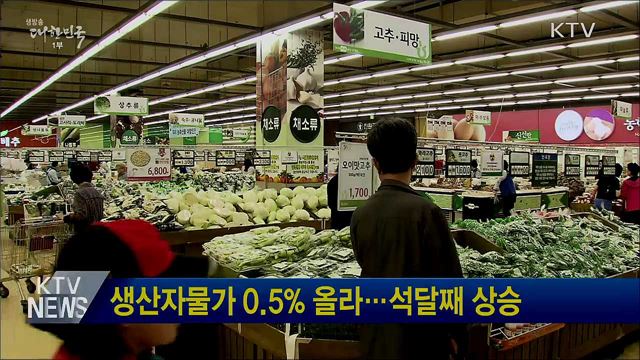 생산자물가 0.5% 올라···석달째 상승