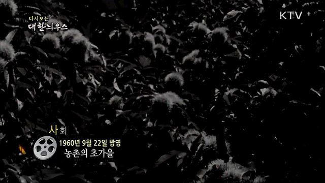 다시보는 대한늬우스 (60. 9. 22)