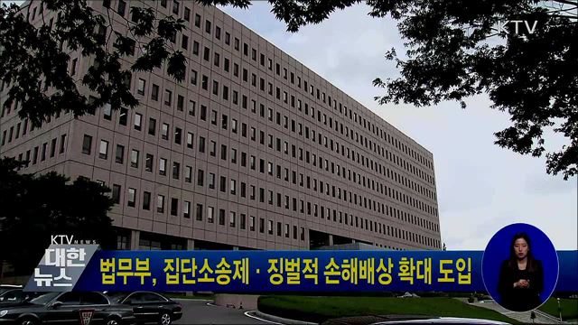 법무부, 집단소송제·징벌적 손해배상 확대 도입