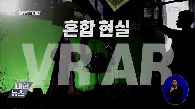 실감콘텐츠 [뉴스링크]