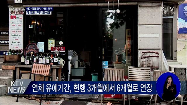 상가임대차보호법 개정안 공포···"혼란 최소화"