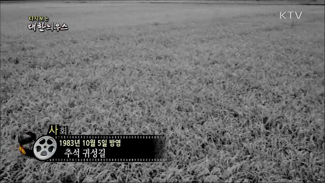 다시보는 대한늬우스 (83. 10. 5)