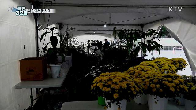 차 안에서 꽃 사는 화훼농가 돕기 캠페인