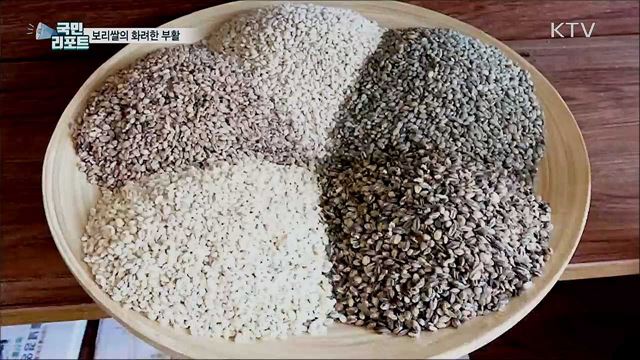 쌀보다 귀한 보리···보리 재배로 '부촌의 꿈' 이뤄요