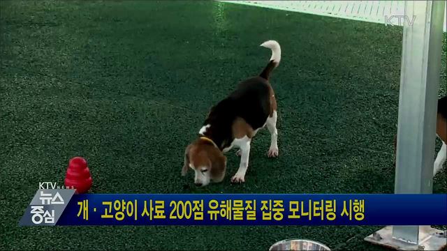 개·고양이 사료 200점 유해물질 집중 모니터링 시행