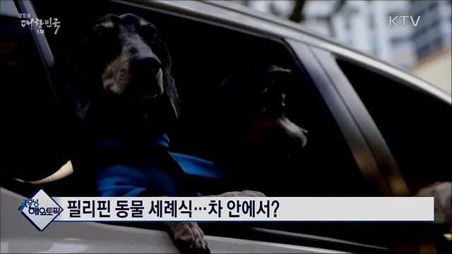 필리핀 동물 세례식···차 안에서? [굿모닝 해외토픽]