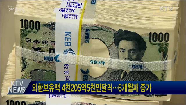 외환보유액 4천205억5천만달러···6개월째 증가