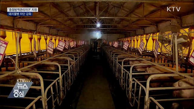 '중점방역관리지구' 지정···돼지열병 차단 강화