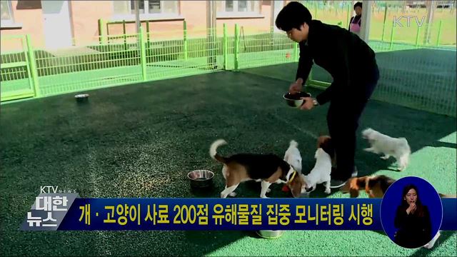 개·고양이 사료 200점 유해물질 집중 모니터링 시행
