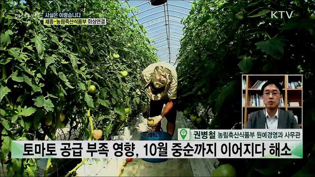 장바구니 물가 비상, 사라진 토마토 '장마·태풍 뒤끝' 언제까지? [사실은 이렇습니다]