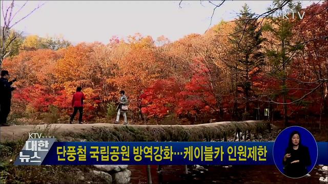 단풍철 국립공원 방역강화···케이블카 인원제한