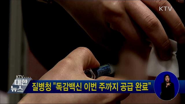 질병청 "독감백신 이번 주까지 공급 완료"