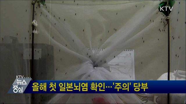 올해 첫 일본뇌염 확인···'주의' 당부