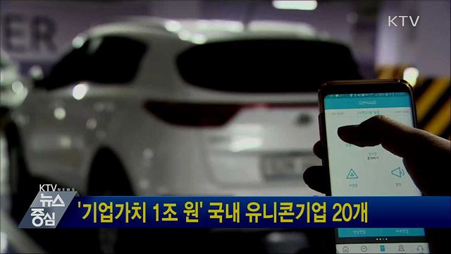 '기업가치 1조 원' 국내 유니콘기업 20개