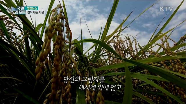 깊어가는 가을 [한국의 美]