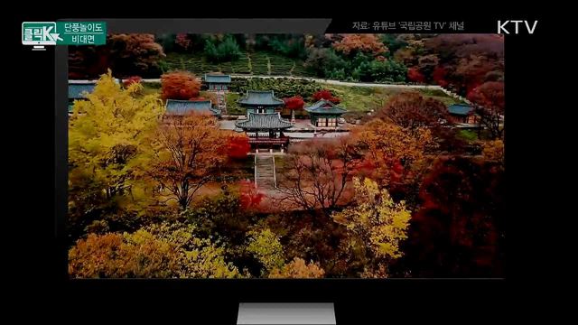 단풍놀이도 비대면 [클릭K]