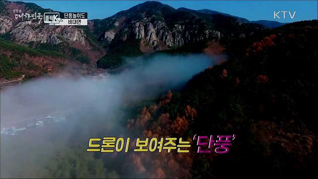 단풍놀이도 비대면 [클릭K]