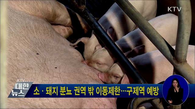 소·돼지 분뇨 권역 밖 이동제한···구제역 예방